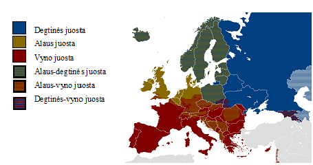 Kaip teigia M. P. Holt, alaus ir vyno juostų Europoje atskyrimas gali būti siejamas su religija.